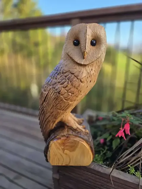 Harry the Barn Owl, hand carved owl carving