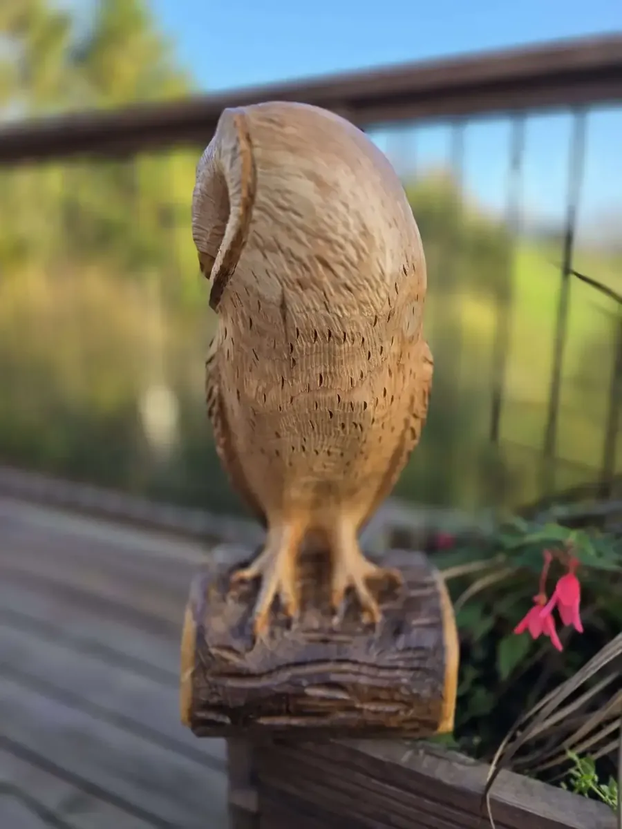 Harry the Barn Owl hand carved owl