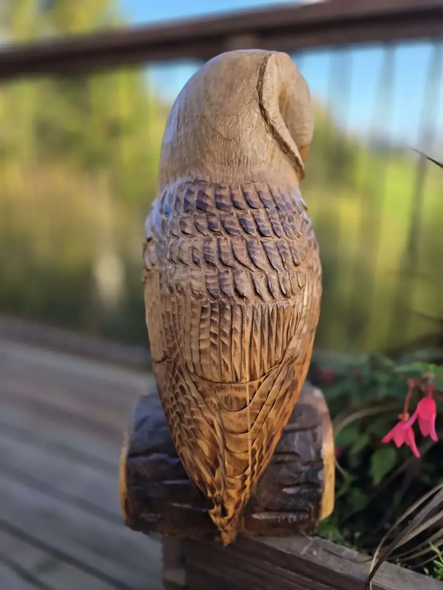 Harry the Barn Owl view 4