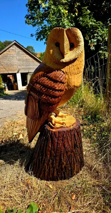 Hunter the Barn Owl, hand carved owl carving