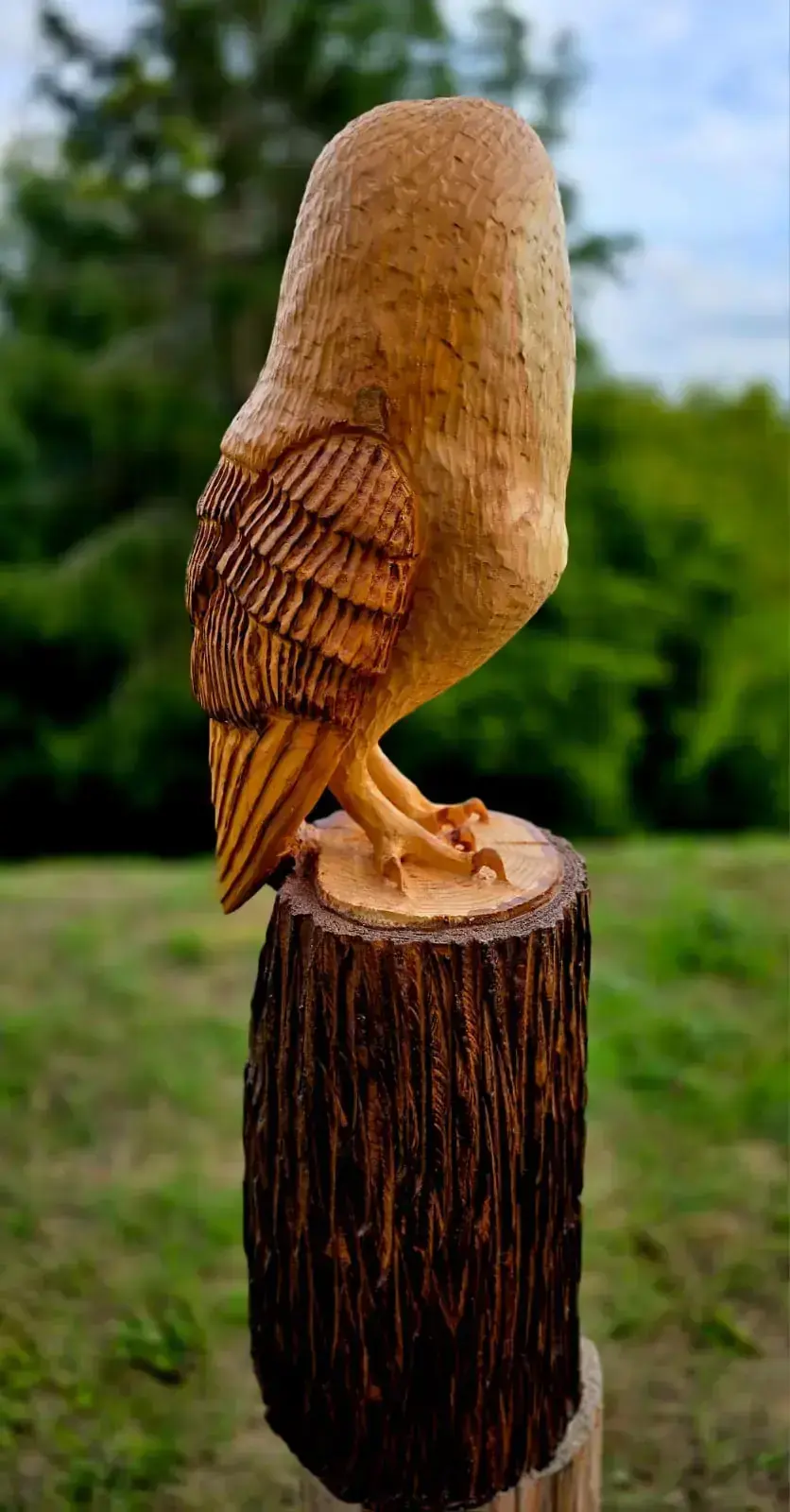 Izzy the Barn Owl view 3