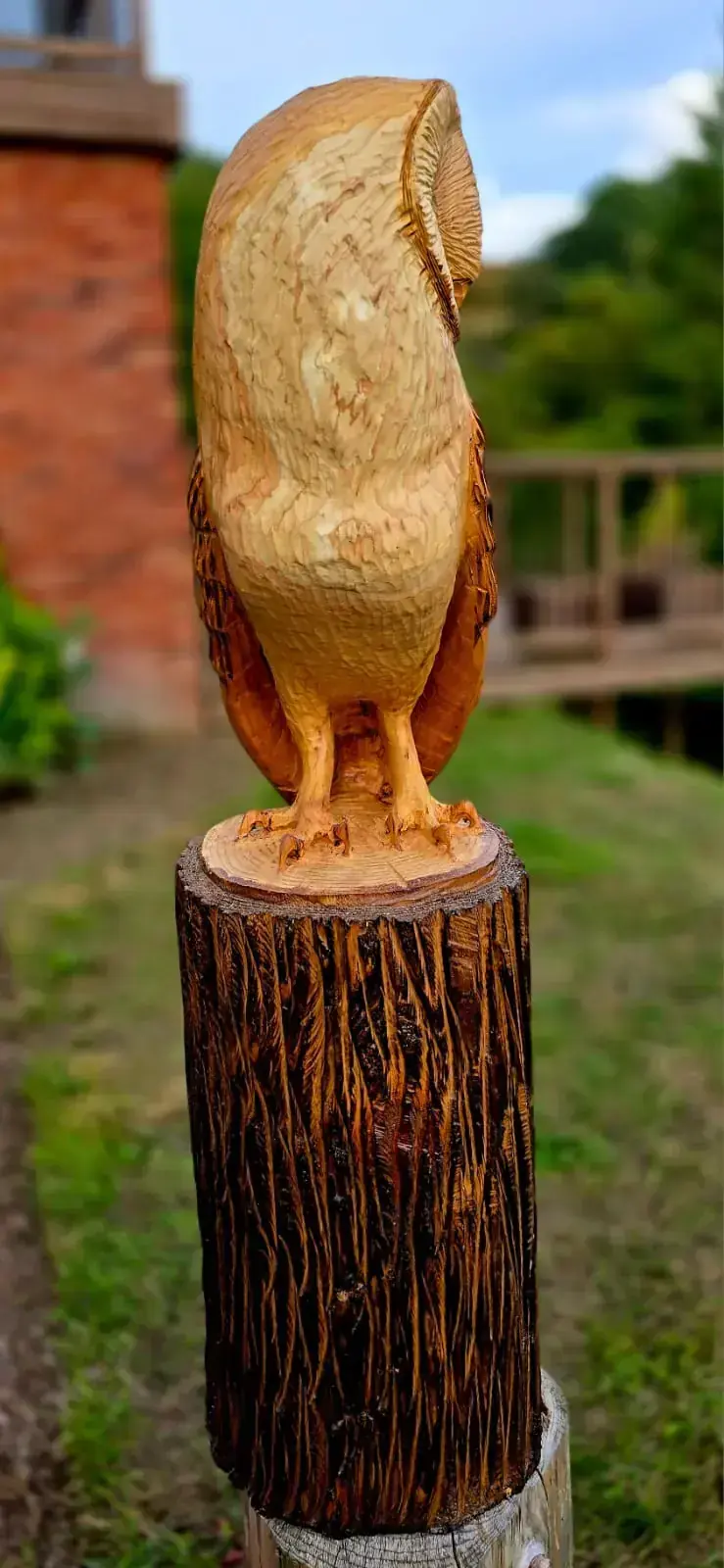 Izzy the Barn Owl view 4