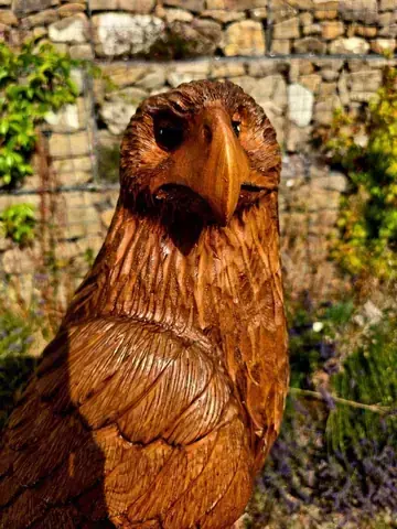 Juno the Eagle, hand carved eagle carving