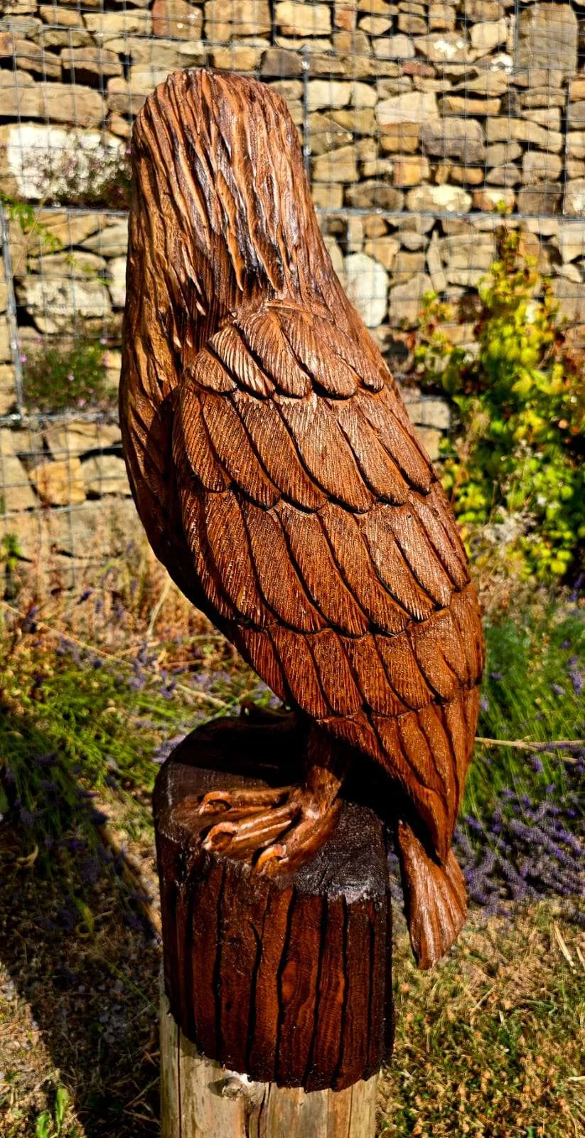 Juno the Eagle view 3