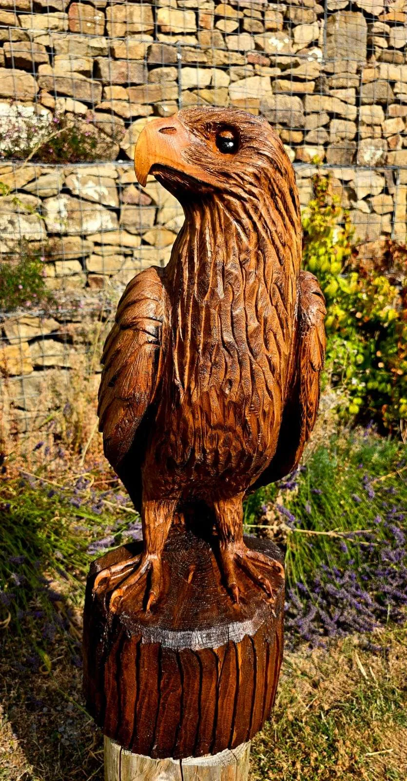 Juno the Eagle view 4