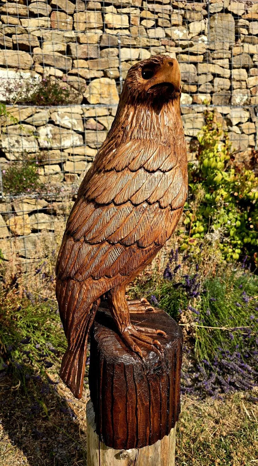 Juno the Eagle view 5