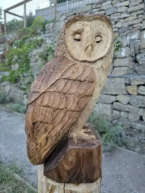 Lila the Sleepy Barn Owl, hand carved owl carving