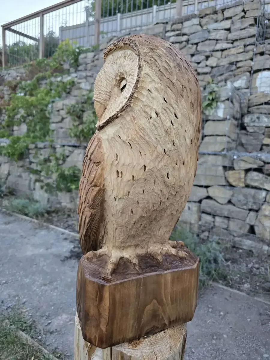 Lila the Sleepy Barn Owl hand carved owl