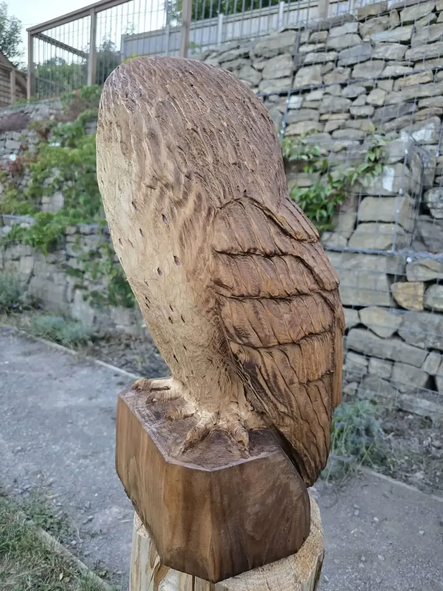 Lila the Sleepy Barn Owl view 3