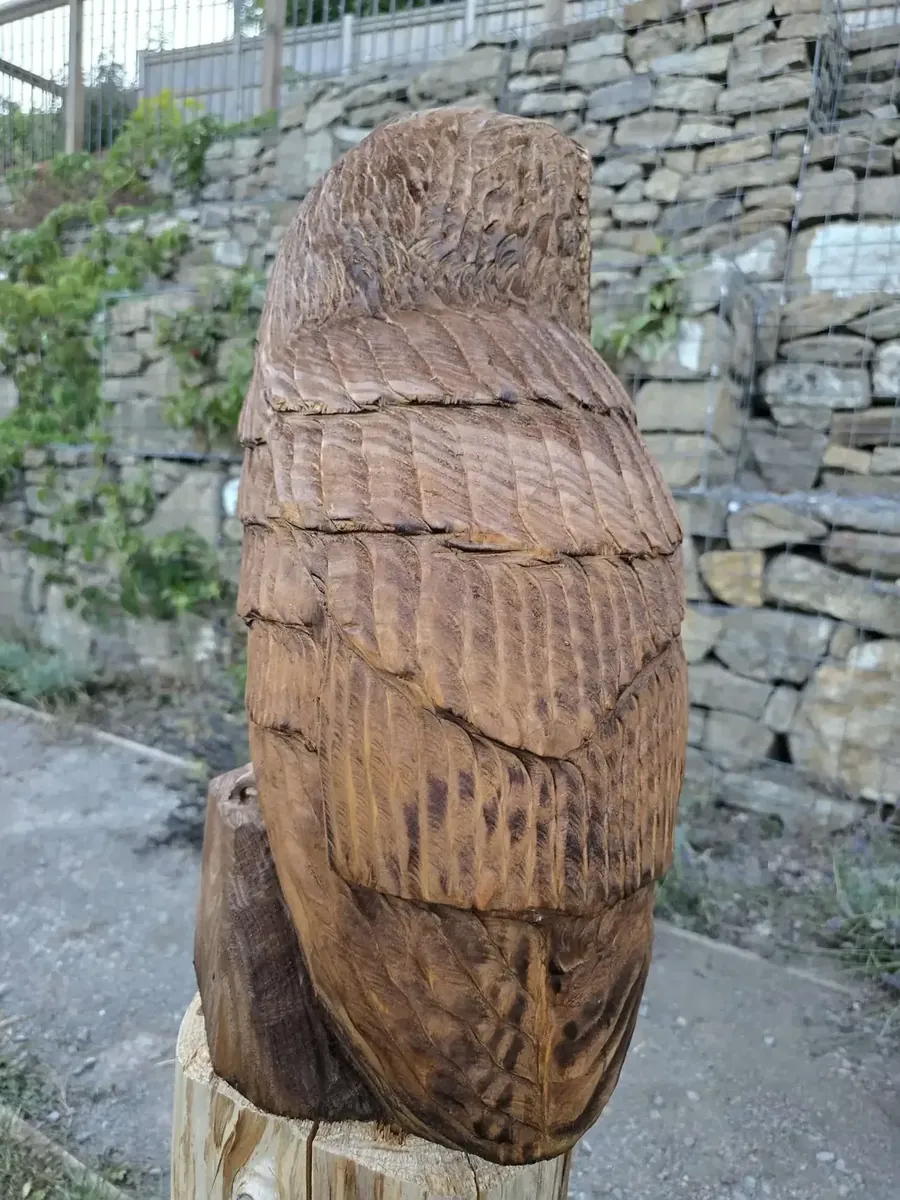 Lila the Sleepy Barn Owl view 4
