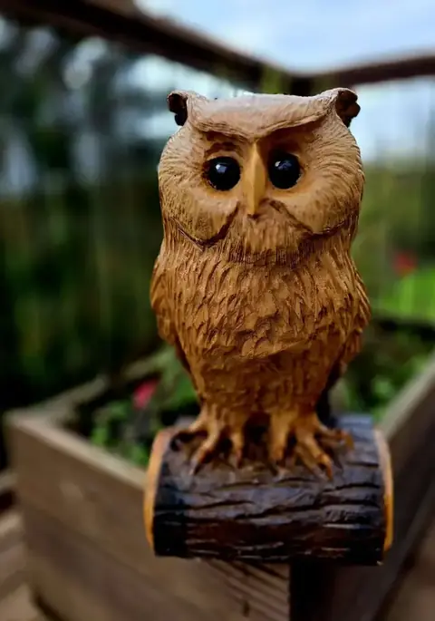 Loki the Eagle Owl, hand carved owl carving