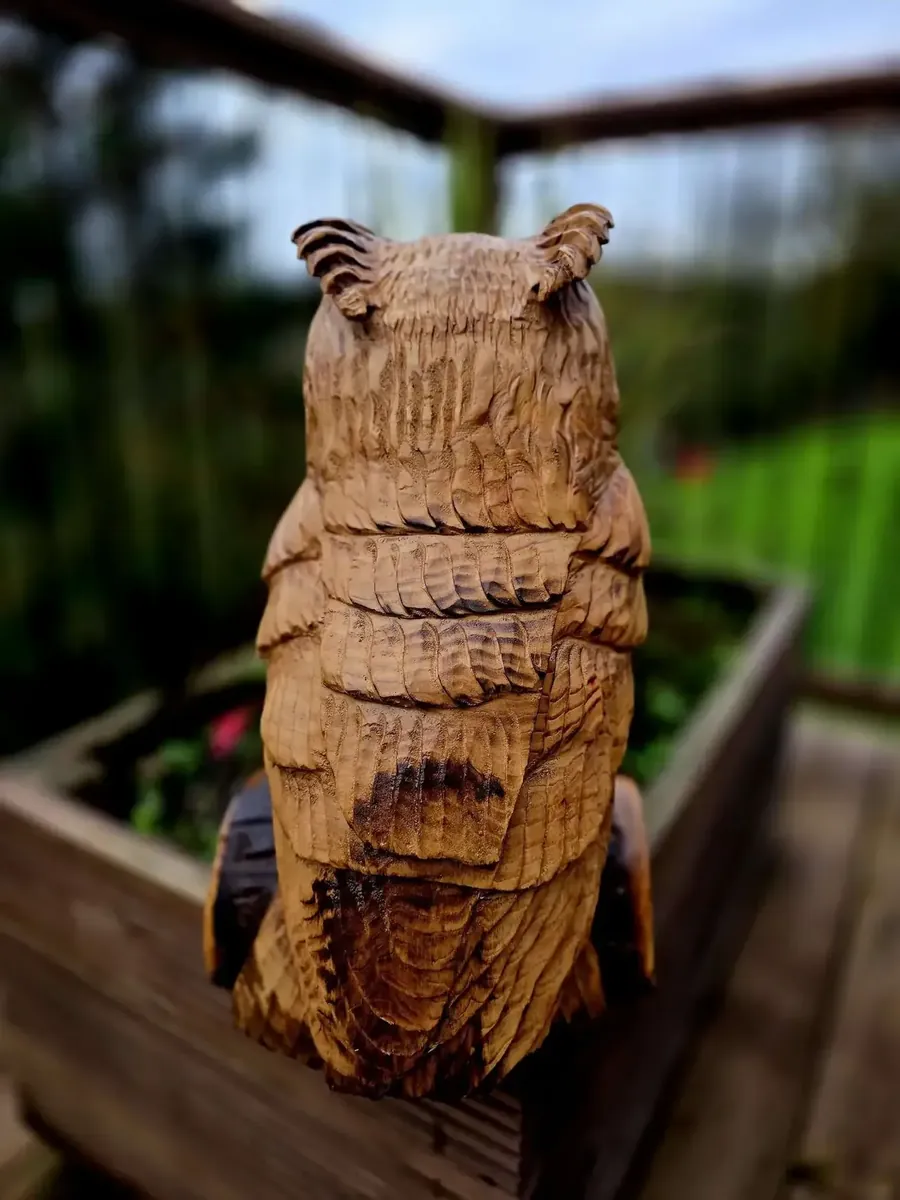 Loki the Eagle Owl view 3
