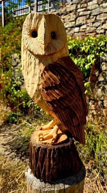 Luna the Barn Owl, hand carved owl carving