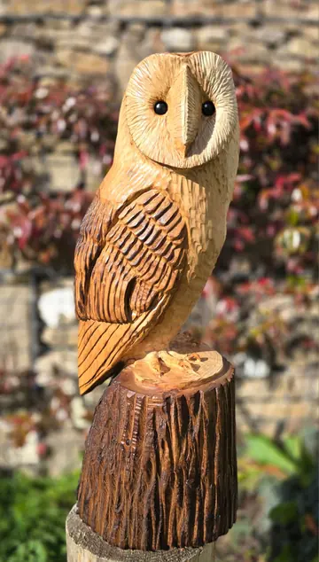 Maple the Barn Owl, hand carved owl carving