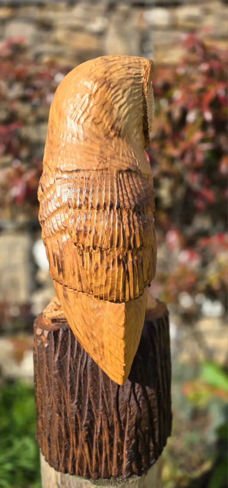 Maple the Barn Owl, hand carved owl, view 4