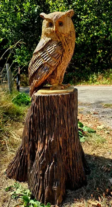 McOwl, hand carved owl carving
