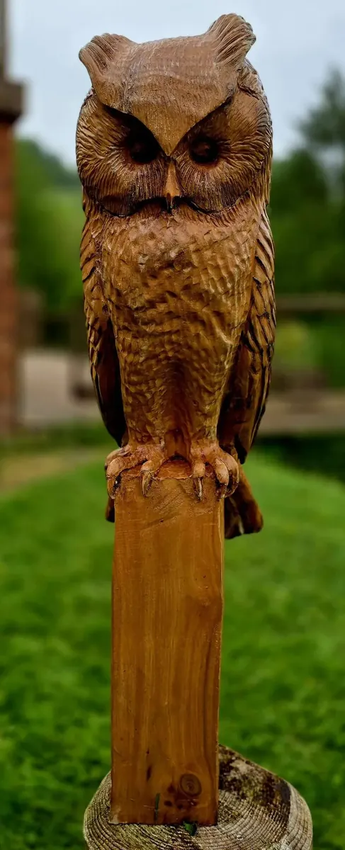 Memorial Long Eared Owl hand carved owl