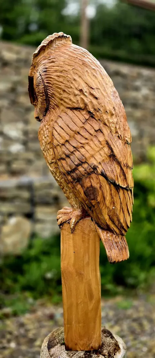 Memorial Long Eared Owl view 4
