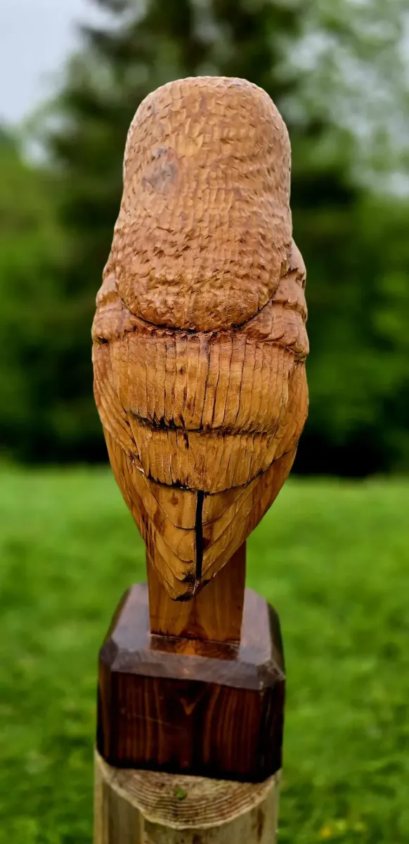 Memorial Tawny Owl view 3