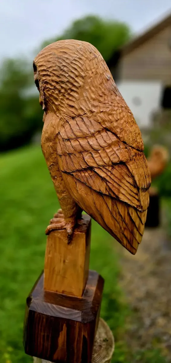Memorial Tawny Owl view 4