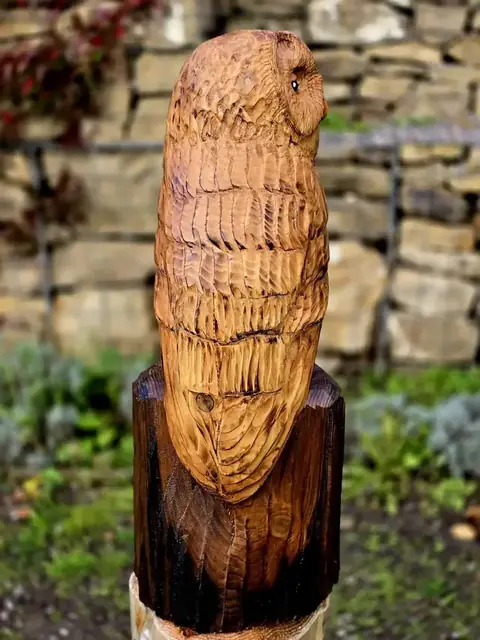 Milo the Tawny Owl, hand carved owl carving