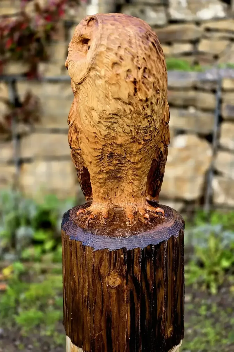 Milo the Tawny Owl view 3