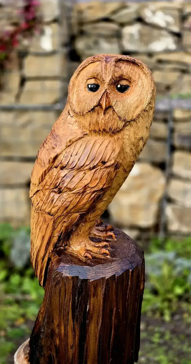 Milo the Tawny Owl view 4