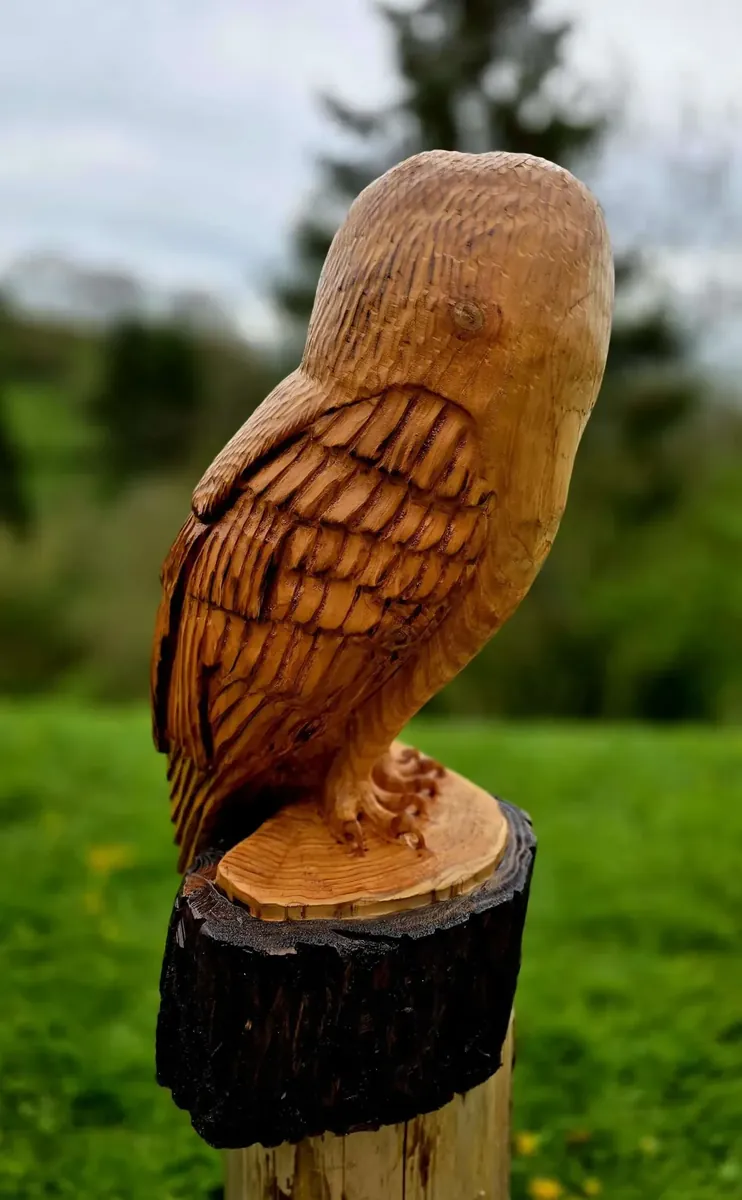 Monty the Barn Owl hand carved owl