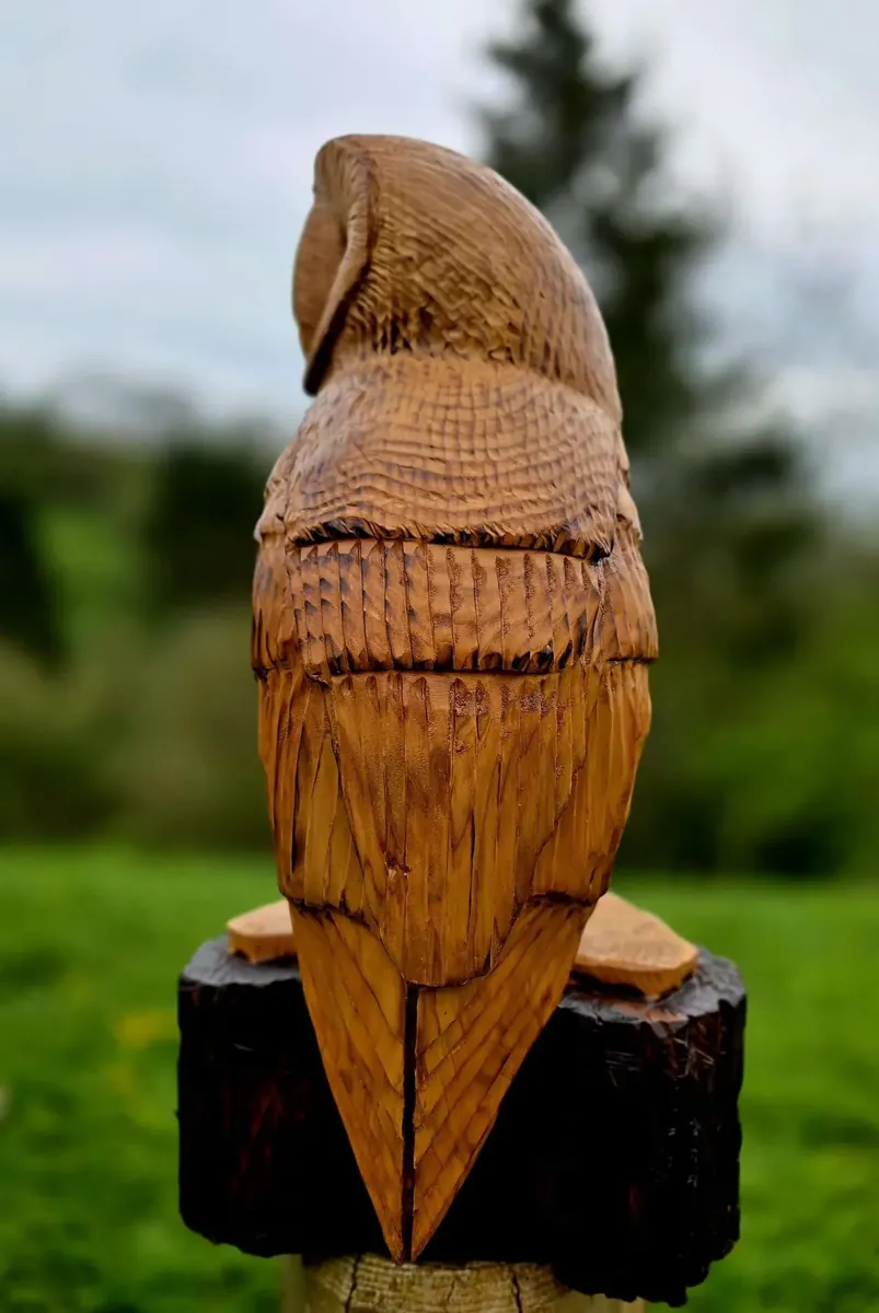 Monty the Barn Owl hand carved owl