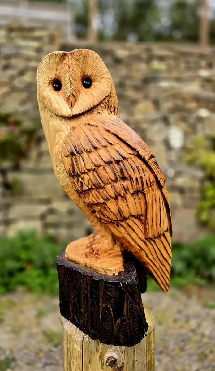 Monty the Barn Owl view 4