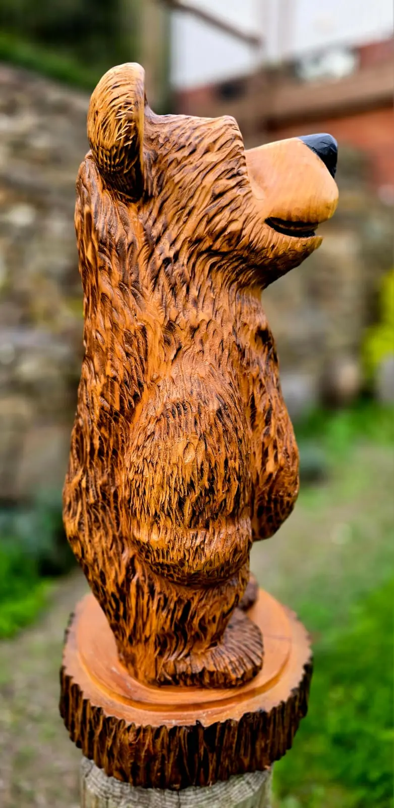 Nigel the Bear view 4