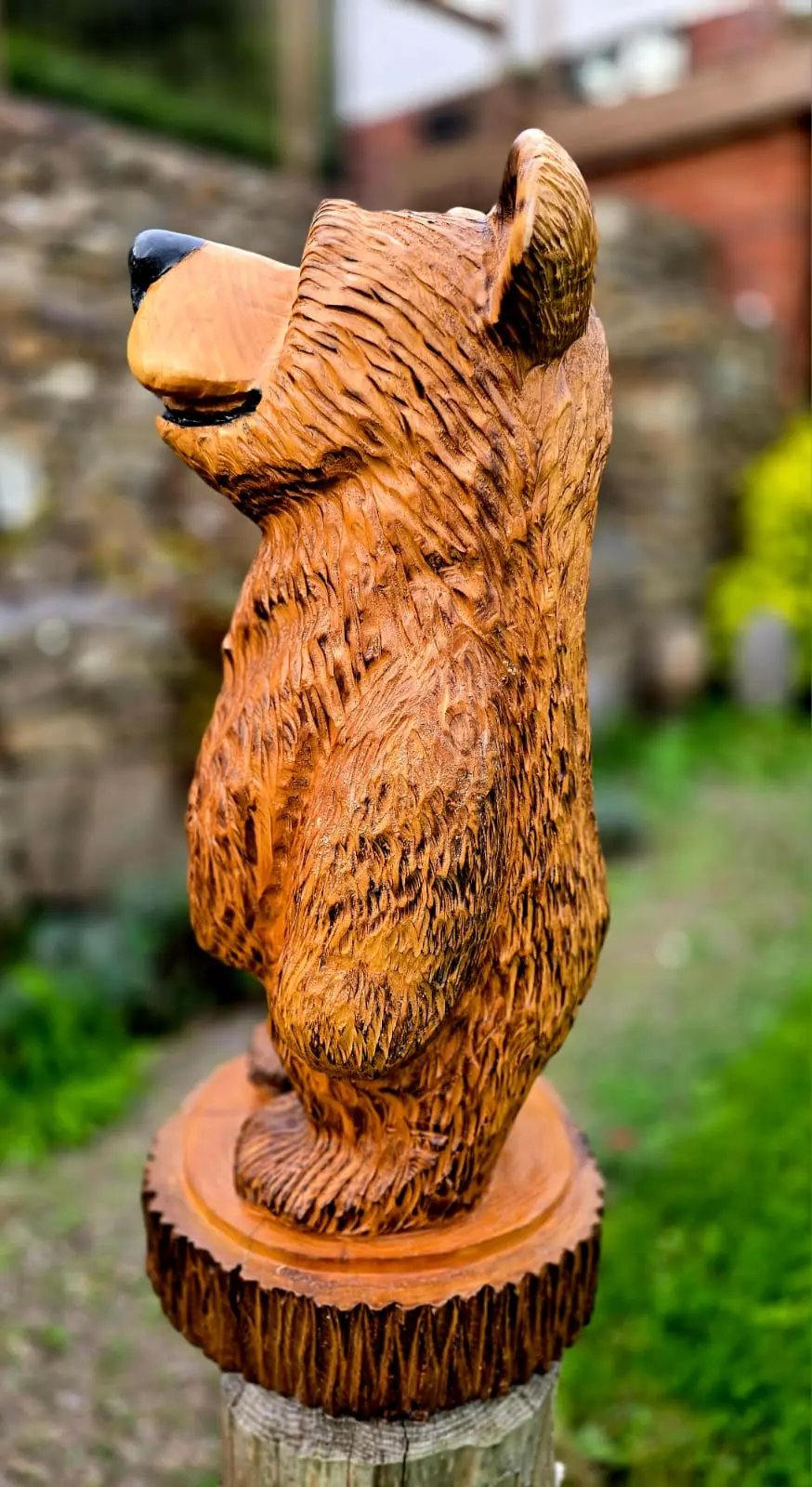 Nigel the Bear view 5
