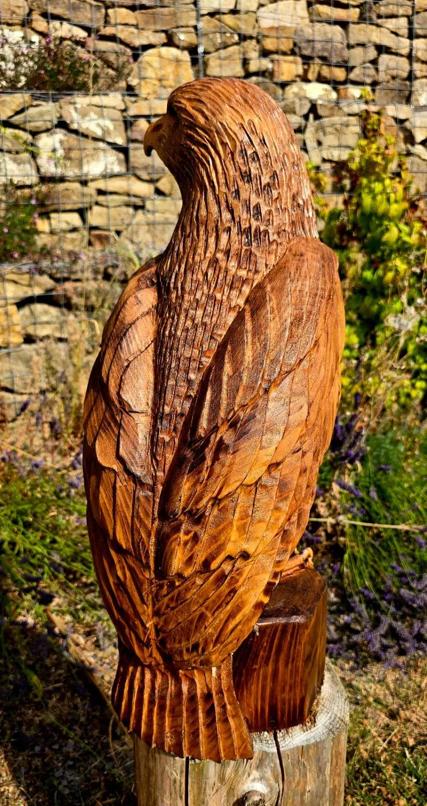 Nimbus the Buzzard hand carved buzzard