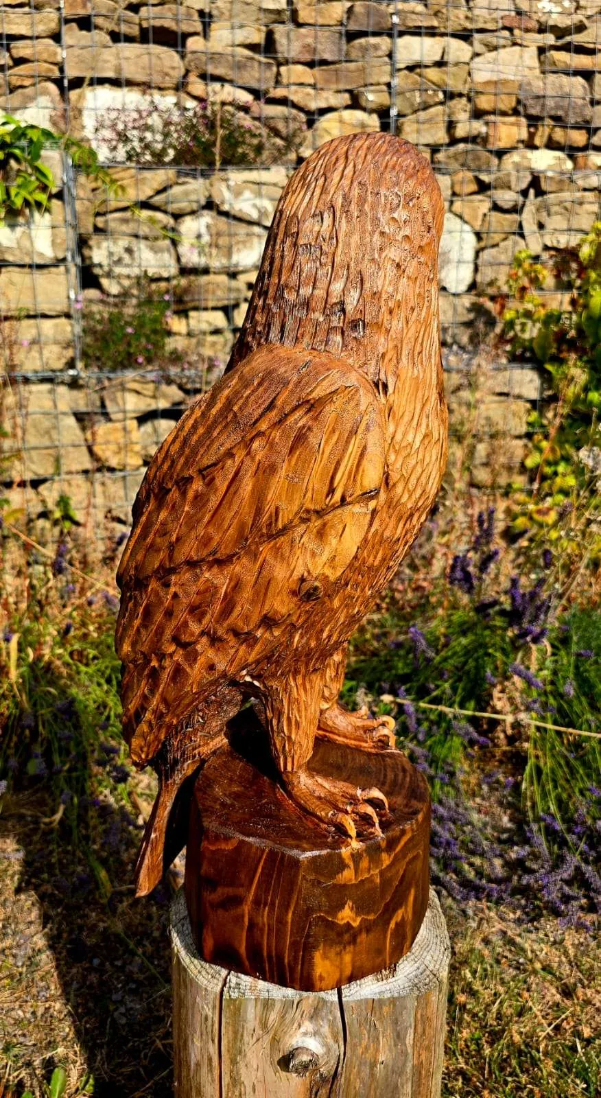 Nimbus the Buzzard view 3