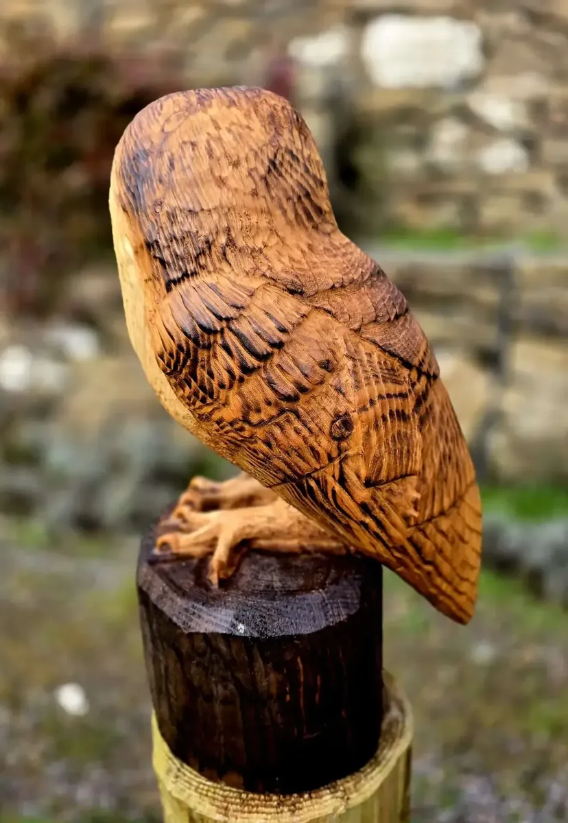 Percy the Barn Owl view 4