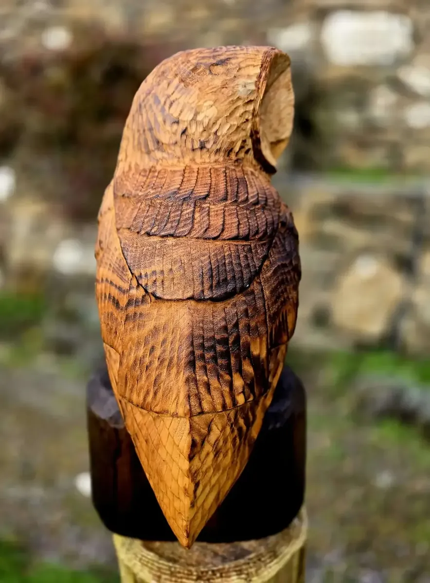Percy the Barn Owl view 5