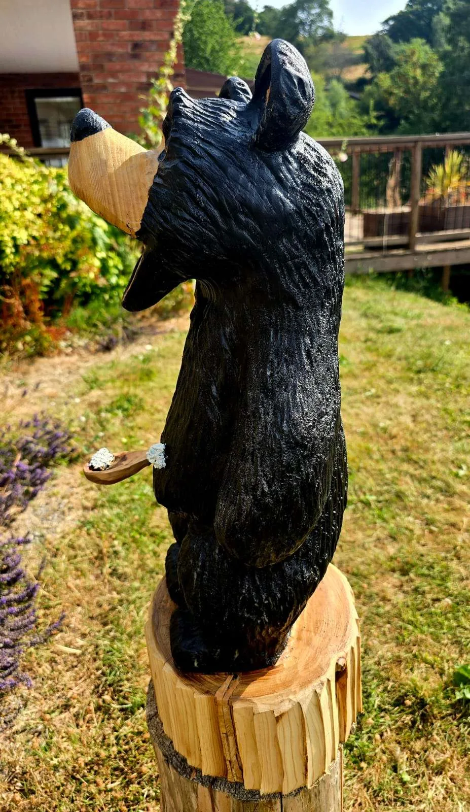 Porridge the Bear view 3