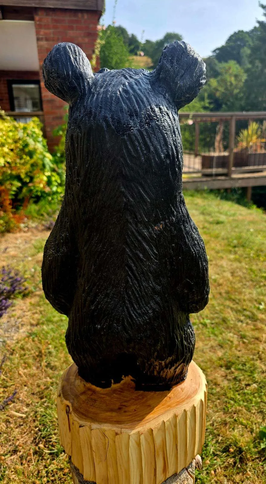 Porridge the Bear view 4
