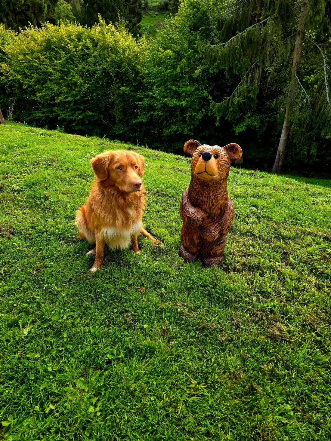 Rowan the Bear, hand carved bear, view 2