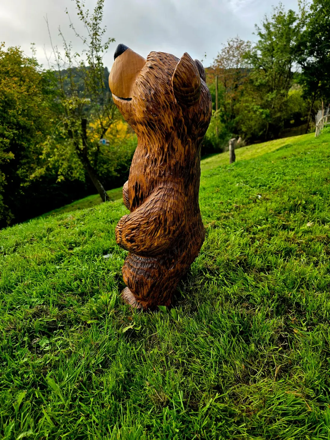 Rowan the Bear, hand carved bear, view 4
