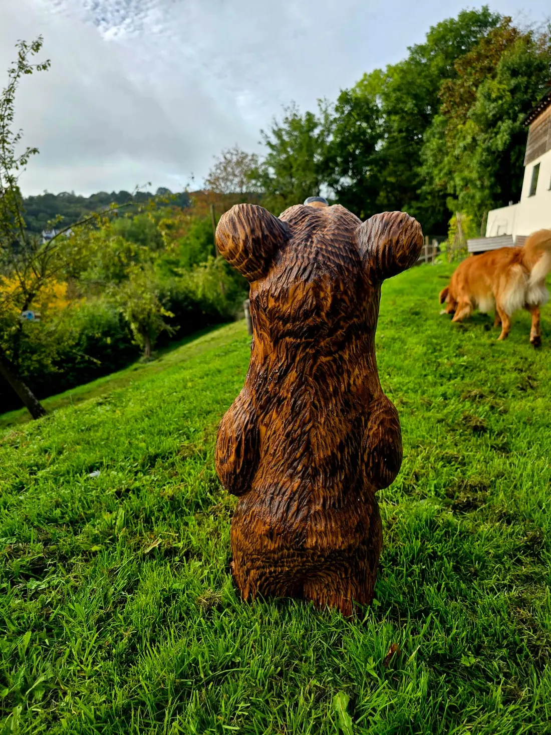 Rowan the Bear, hand carved bear, view 5