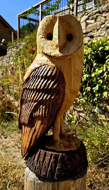 Roy the Barn Owl, hand carved owl carving