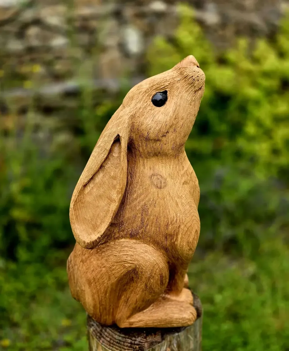 Sofi the Moon Gazing Hare view 3