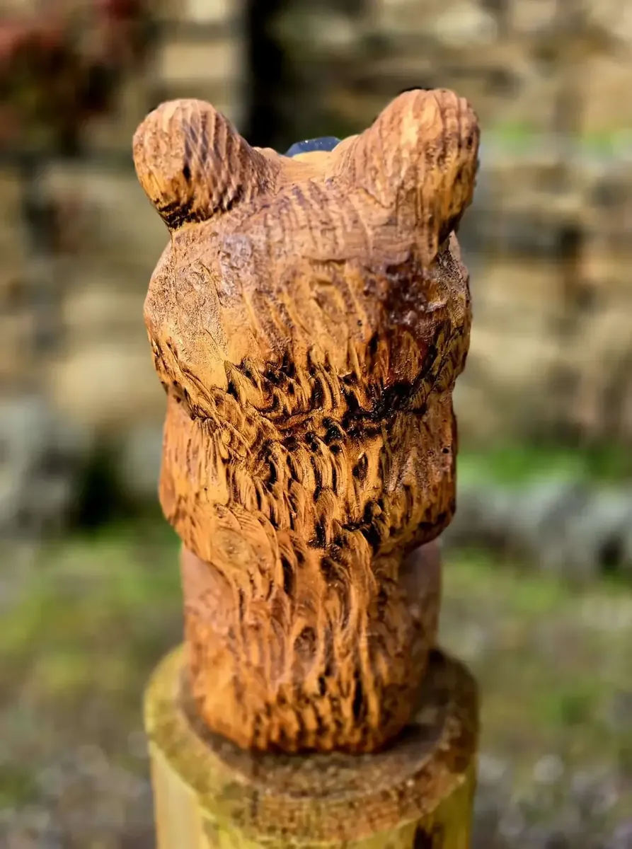 Sprocket the Bear view 3