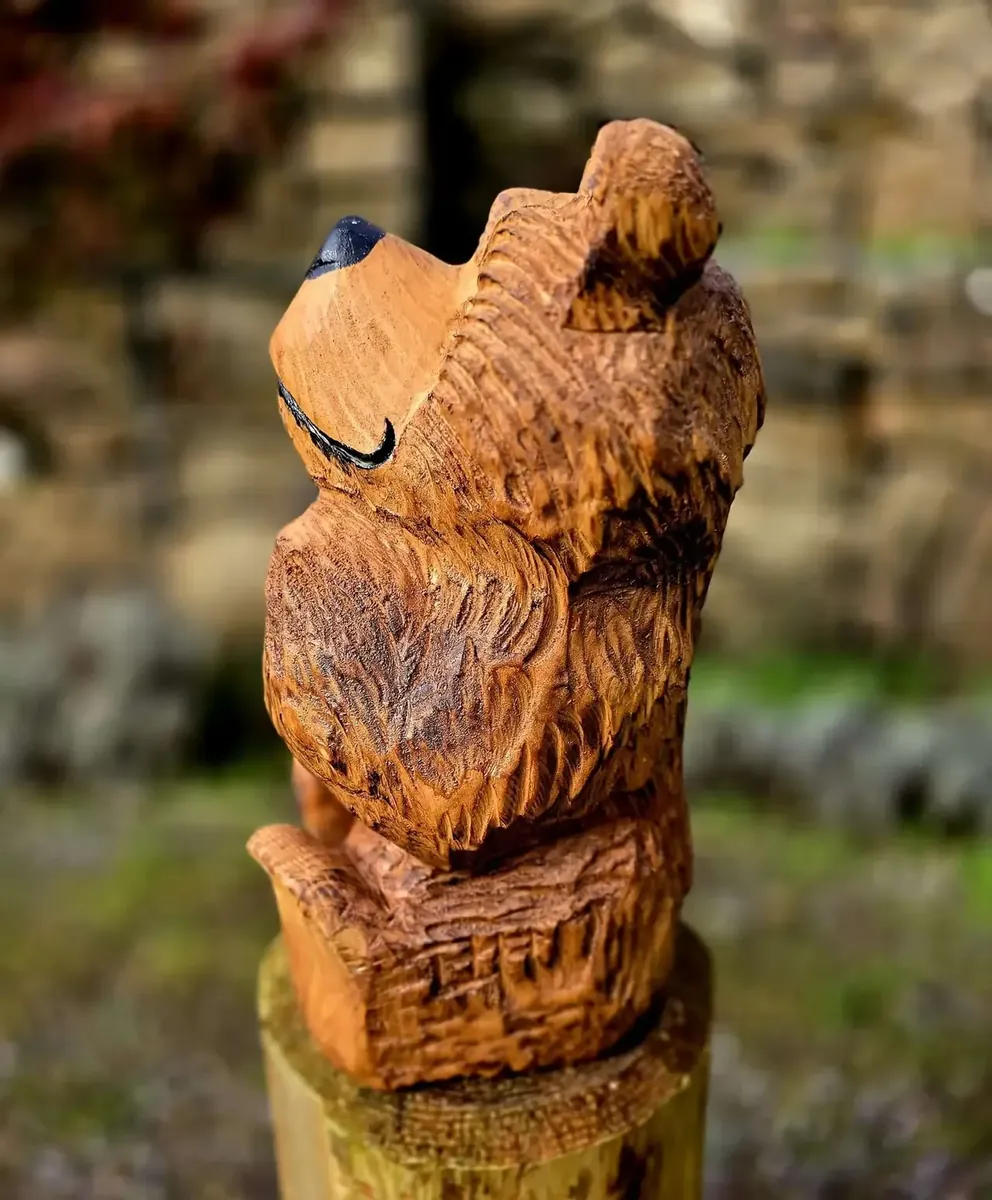 Sprocket the Bear view 4