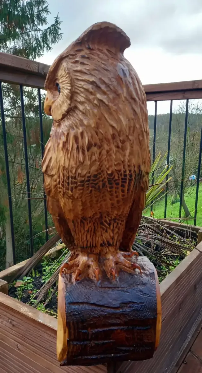 Toby the Long Eared Owl hand carved owl
