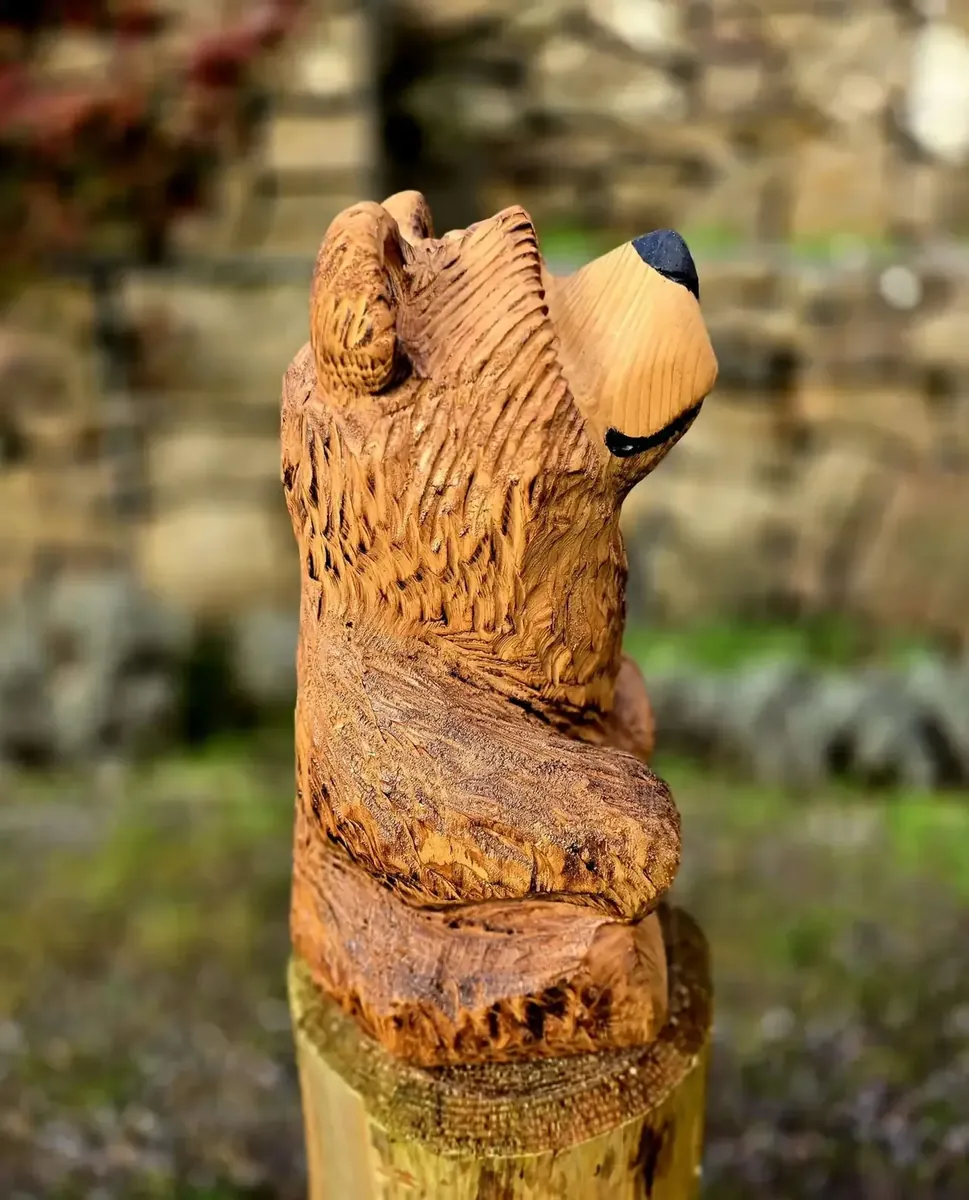 Tommy Bear hand carved bear