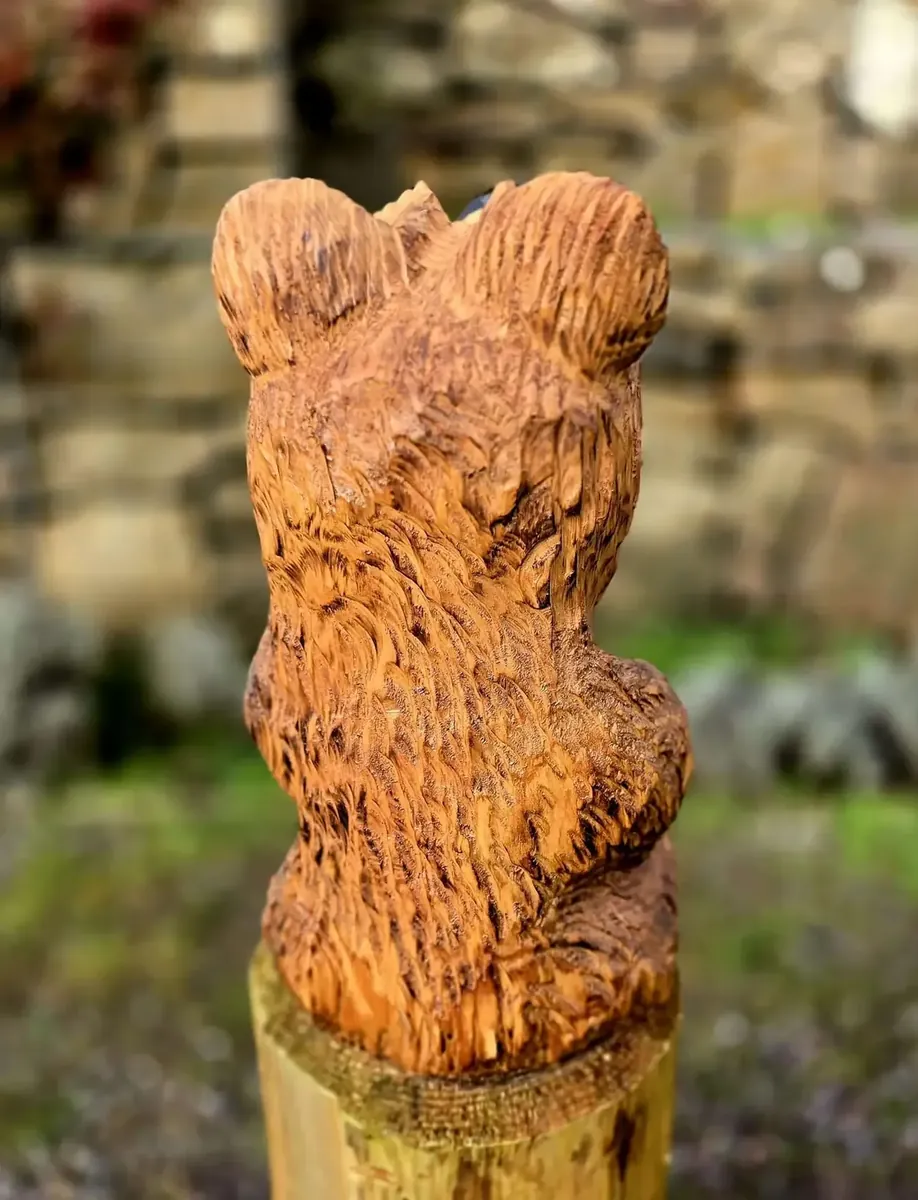 Tommy Bear view 3