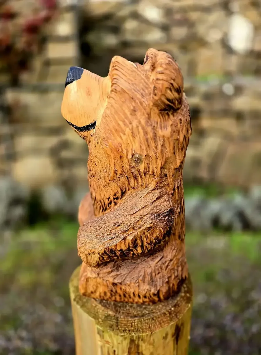 Tommy Bear view 4