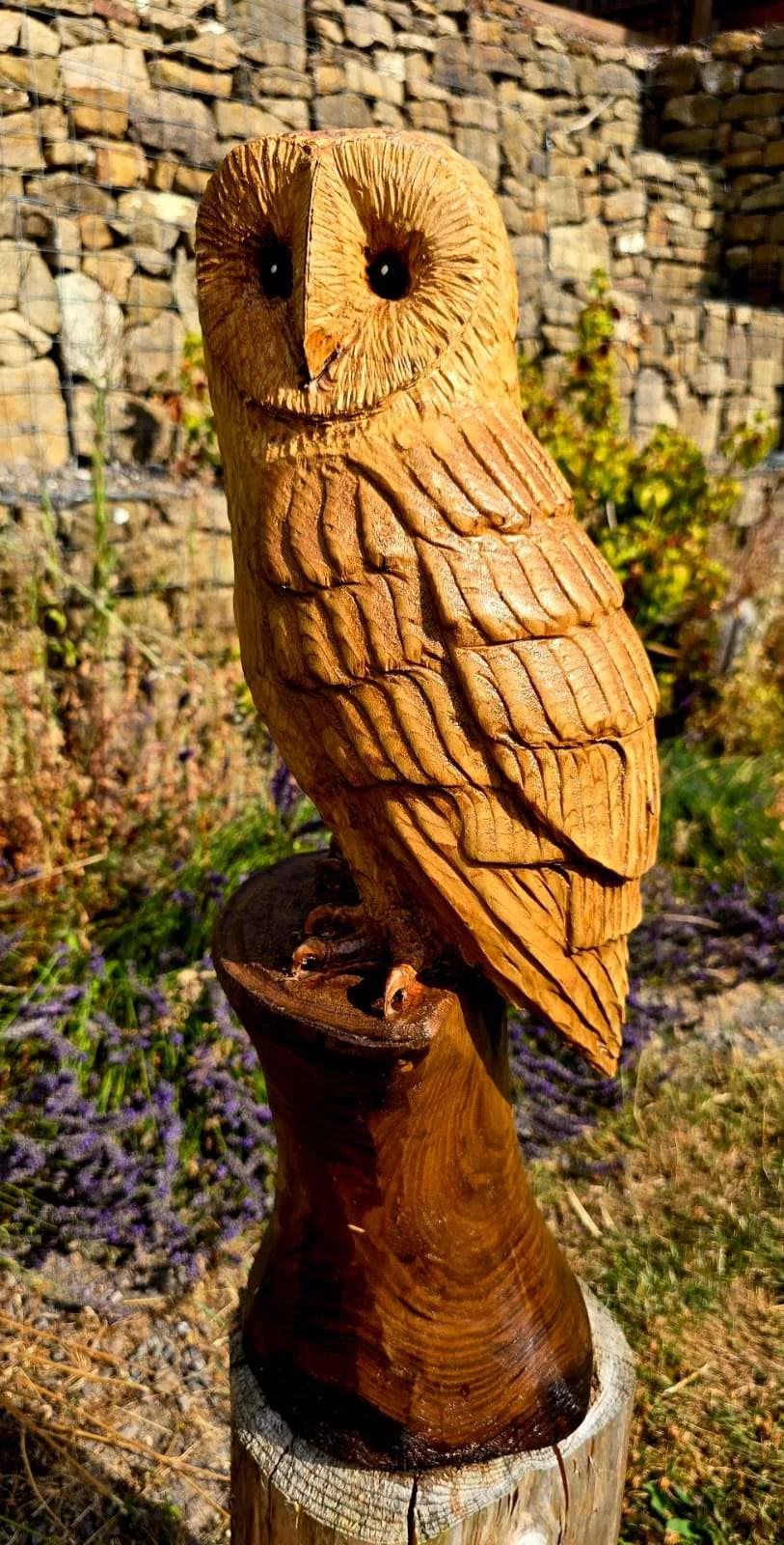 Twix the Barn Owl, hand carved owl carving